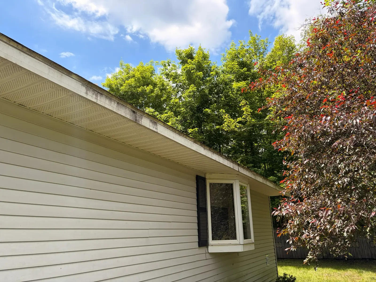 Roofline soffit and fascia darkened with algae streaks before cleaning