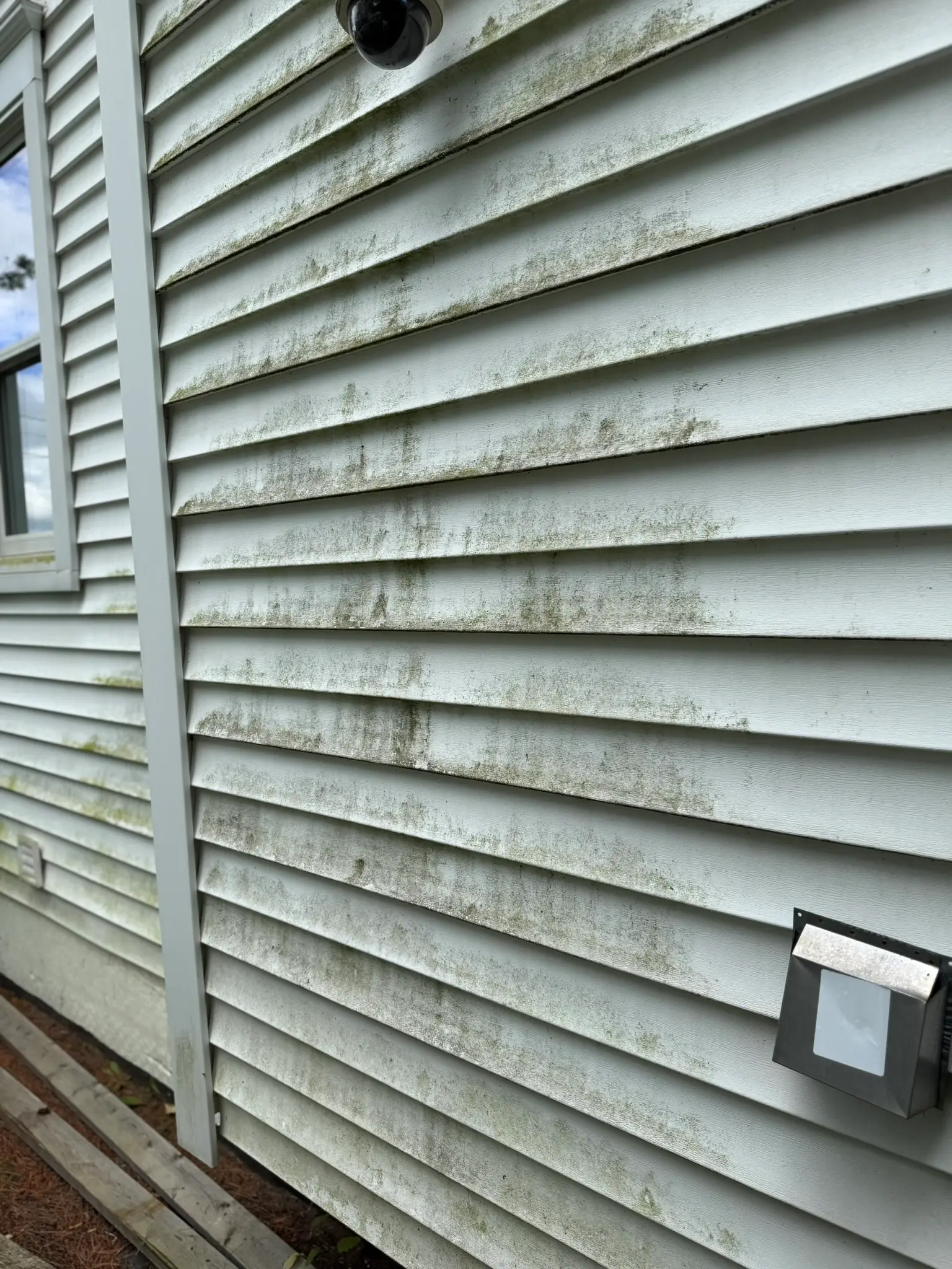 White vinyl siding heavily coated in green algae and mildew before soft washing