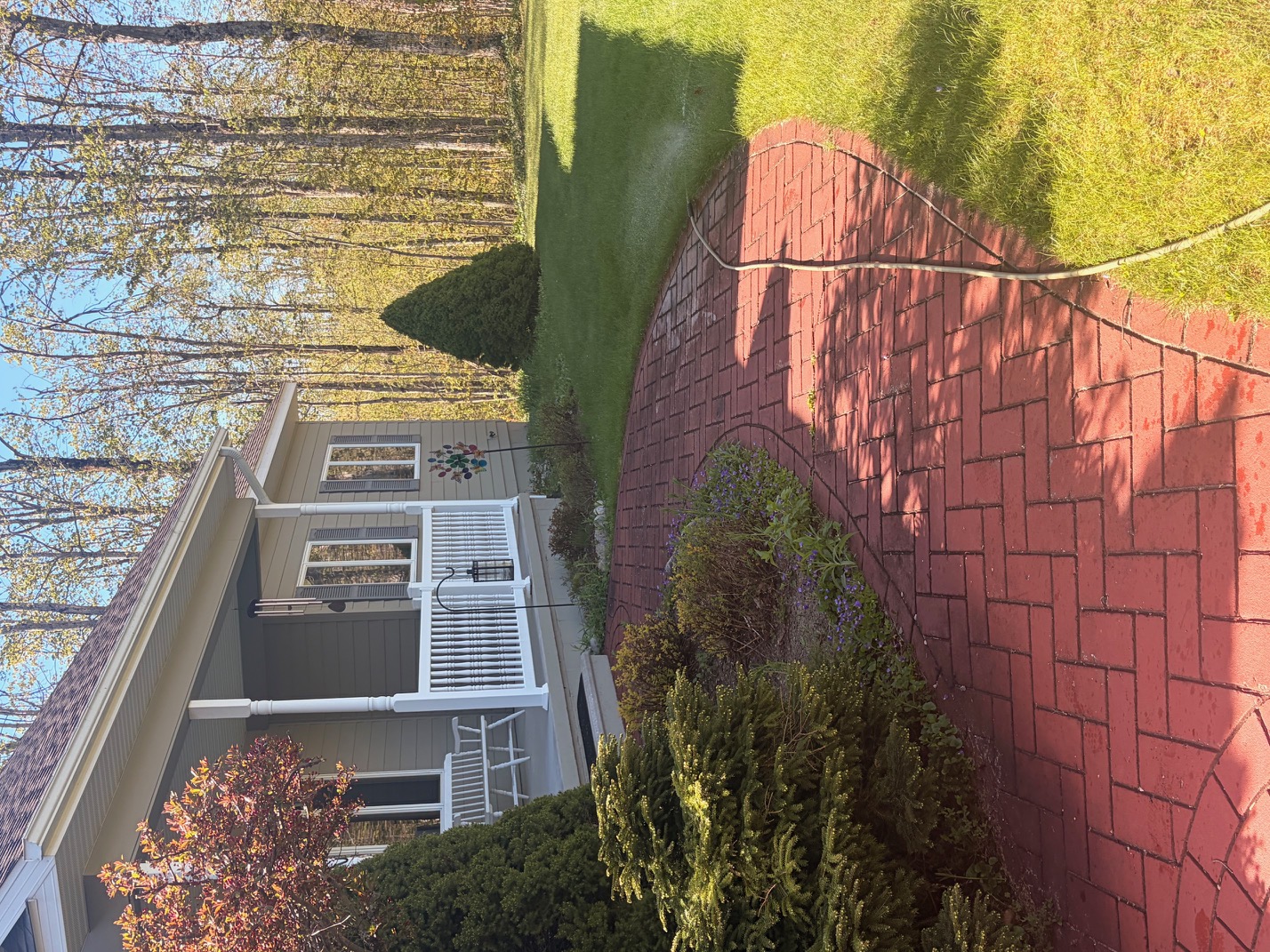 Paver & Patio Cleaning